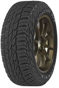 285/40 R22 XL 110H TL OMIKRON A/T D-C-2